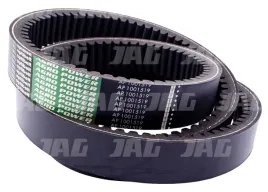pas-wariatorowy-optibelt-agro-power-deutz-fahr-massey-ferguson-ap1001519