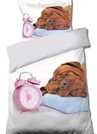posciel-mlodziezowa-160x200-buldog-budzik