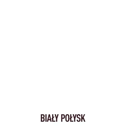altax-szybkoschnaca-emalia-biala-025l-stan-nowy