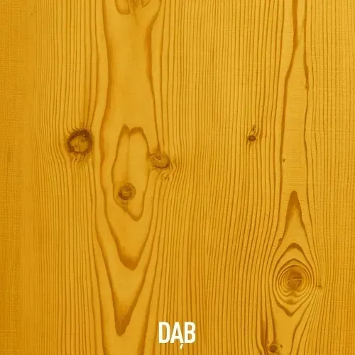 altax-lakierobejca-zywiczna-5l-dab-stan-nowy