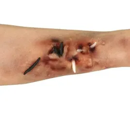 sztuczna-rana-robaki-skaleczenie-halloween