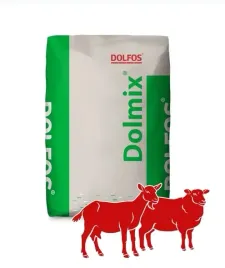 dolmix-junior-ok-mieszanka-paszowa-jagnieta-dolfos-20kg