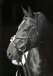 oglowie-dla-konia-cancun-czarny-roz-cob-covalliero