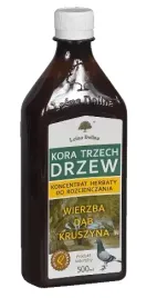 kora-trzech-drzew-herbata-dla-golebi-lesna-dolina