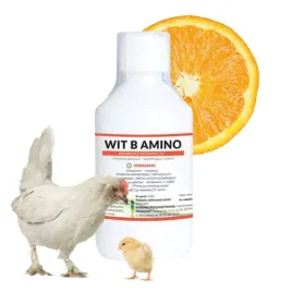 witamina-b-amino-dla-kur-niosek-kury-farmwet-250ml