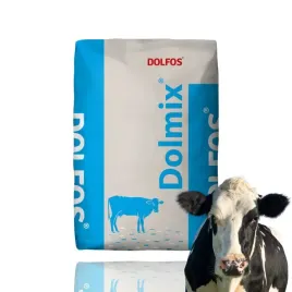 dolfos-dolmix-bz-dla-bydla-krow-mlecznych-na-zasuszenie-20-kg