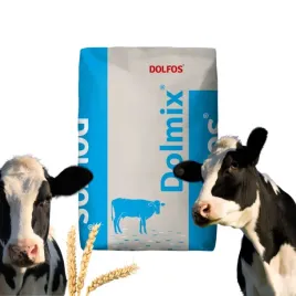 witaminy-dla-bydla-krow-mlecznych-dolmix-b-bydlo-ogolne-dolfos-20kg