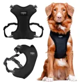 chaba-szelki-guard-comfort-classic-m-czarne-rozmiar-m