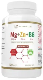 progress-labs-mg-zn-b6-120-tabletek-testosteron-uklad-nerwowy