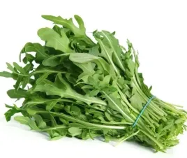 rukola-siewna-salatkowa-srodziemnomorska-nasiona-1g