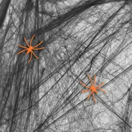 czarna-pajeczyna-z-czerwonym-pajakami