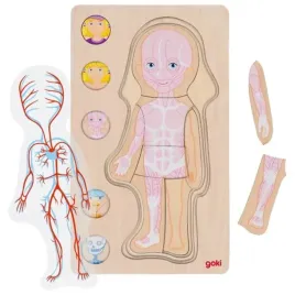 goki-drewniana-ukladanka-anatomia-cialo-dziewczynka