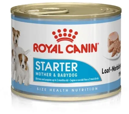 royal-starter-mousse-puszka-195gr-marka-royal-canin