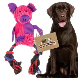 zabawka-dla-psa-interaktywna-3w1-szeleszczaca-i-piszczaca-ze-sznurem