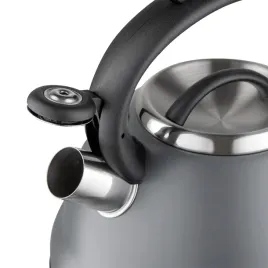 cichy-czajnik-tradycyjny-25-l-stal-nierdzewna-szary