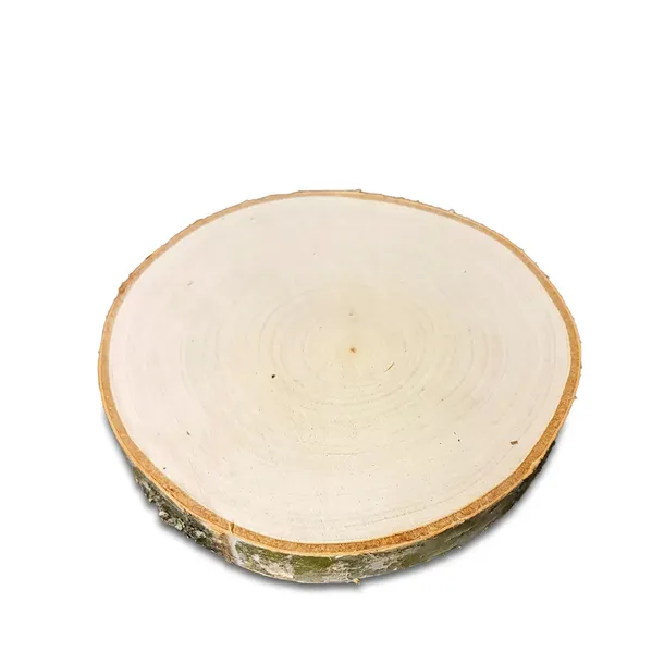 PLASTRY DREWNA BRZOZOWE Krążki Szlifowane 12-15cm