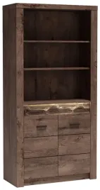 jesion-ciemny-regal-szeroki-wysoki-salon-jadalnia