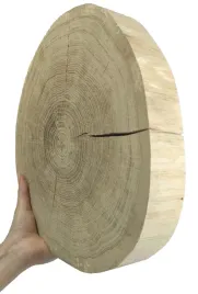 plaster-drewna-debowy-plaster-szlifowany-krazek-drewniany-25-30cm-gr-5cmdab