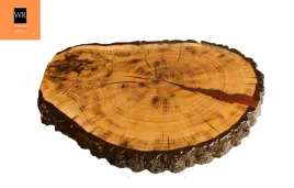 blat-zywiczny-blat-drewniany-na-stol-zywica-epoksydowa-plaster-unikat132245