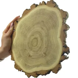 plaster-drewna-akacja-plaster-z-kora-krazek-drewniany-15-20cm-gr-2cm-szlif