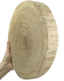 plaster-drewna-debowy-plaster-szlifowany-krazek-drewniany-20-25cm-gr-4cmdab