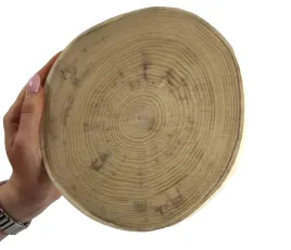 plaster-drewna-okorowany-akacja-krazek-drewniany-szlifowany-15-20cm-gr-2cm