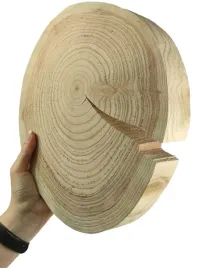 plaster-drewna-bez-kory-modrzew-krazek-drewniany-szlifowany-25-30cm-gr-4cm