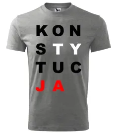 koszulka-meska-konstytucja-szara-xs-5xl