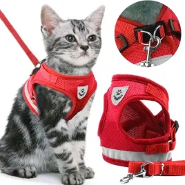 szelki-bezuciskowe-spacerowe-regulowane-odblask-dla-kota-smycz