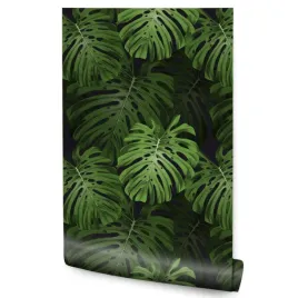 tapeta-w-rolce-duze-liscie-tropikalne-monstera-abstrakcja-rosliny