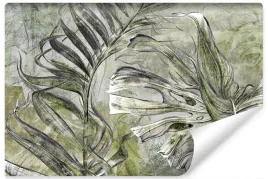 fototapeta-abstrakcja-monstera-liscie-mur-450x300