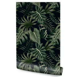 tapeta-do-salonu-ciemne-egzotyczne-liscie-monstera-rosliny-natura