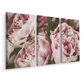 obraz-tryptyk-piwonie-w-stylu-vintage-3d-120x80