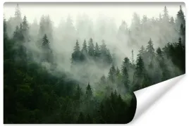 fototapeta-las-we-mgle-drzewa-pejzaz-3d-300x210