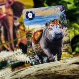 muduko-ryki-afryki-gra-karciana-waga-z-opakowaniem-0-35-kg