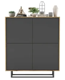 komoda-rtv-loft-szafka-loft-wotan-grafit-mat-113cm