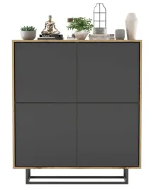 industrialna-komoda-loft-rtv-wotan-grafit-mat-113