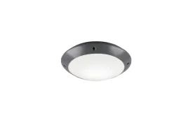 lampa-elewacyjna-plafon-zewnetrzny-led-antracyt-rl