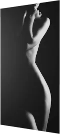 grzejnik-dekoracyjny-z-obrazem-art-27-545x970