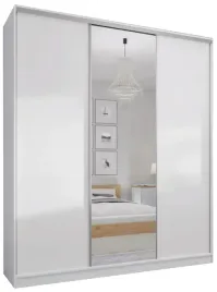 szafa-przesuwna-250-x-250-3d-max-biala-lustro