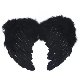 skrzydla-aniola-czarne-diablica-aniol-panienski