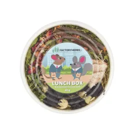 lunch-box-dla-szynszyli-i-koszatniczki