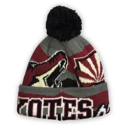 ciepla-czapka-nhl-reebok-arizona-coyotes-small