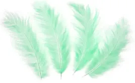 konfetti-piorka-dekoracyjne-zielone-dlugie-x50