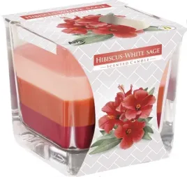 swieca-w-szkle-zapachowa-trojkolor-hibiskus-szalwi
