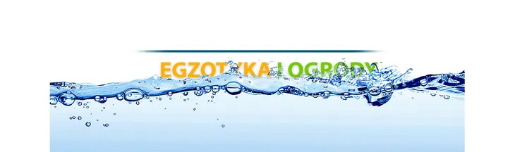 gabka-zapas-niebieska-biosmart-kod-producenta-35792