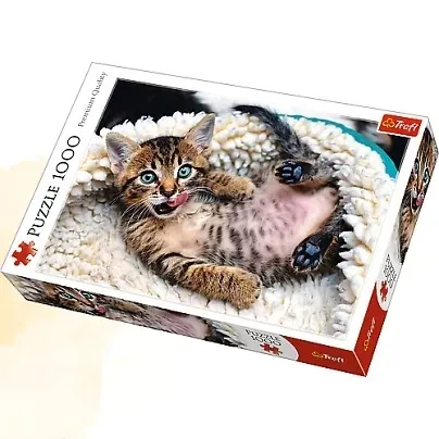 puzzle-1000-wesoly-kotek-stan-nowy