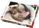 puzzle-1000-wesoly-kotek-stan-nowy