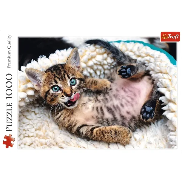 puzzle-1000-wesoly-kotek-kolekcja-inny