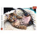 puzzle-1000-wesoly-kotek-kolekcja-inny